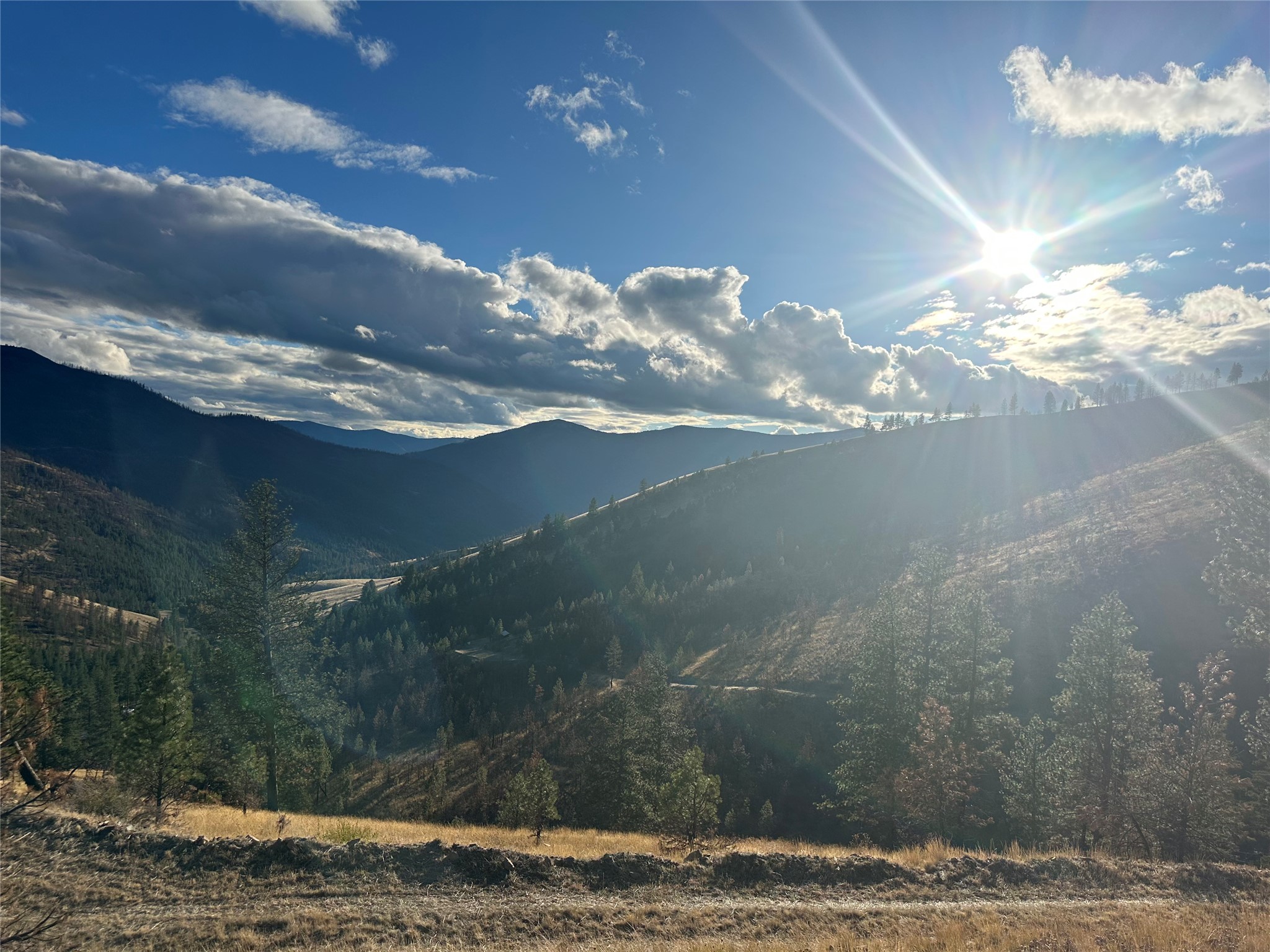 Tbd Mclaughlin Creek Road Property Photo 3