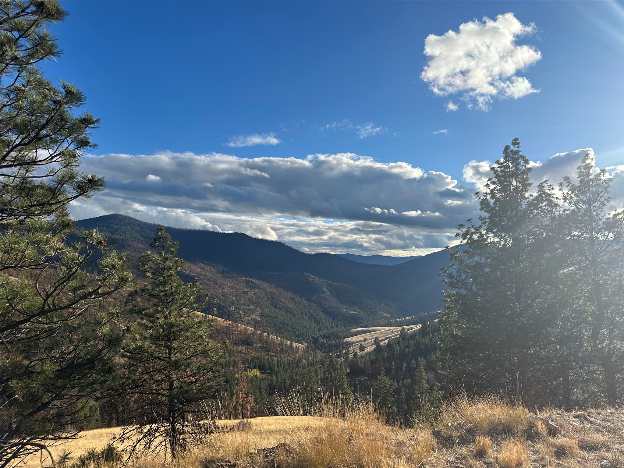 Tbd Mclaughlin Creek Road Property Photo 4