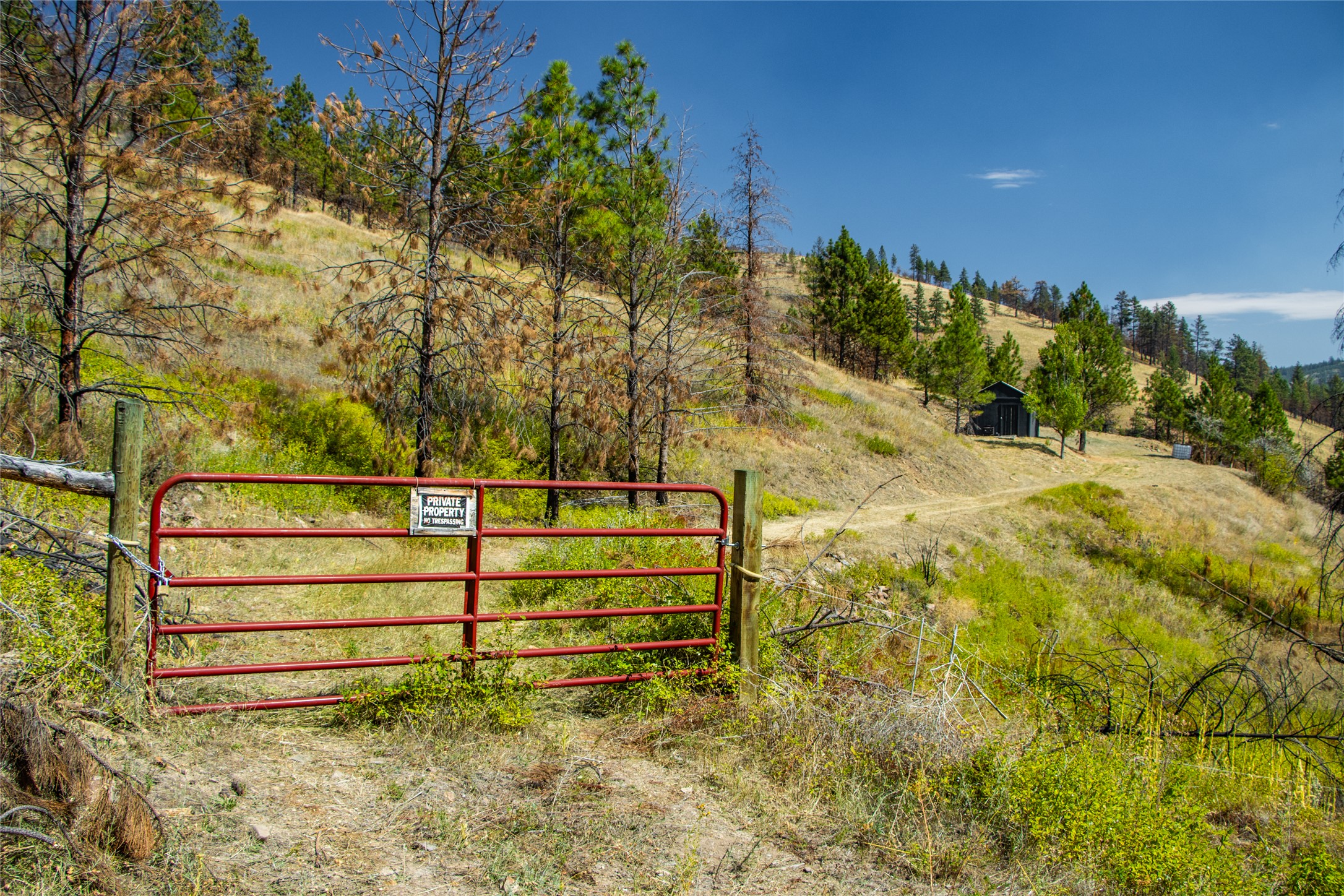 Tbd Mclaughlin Creek Road Property Photo 5