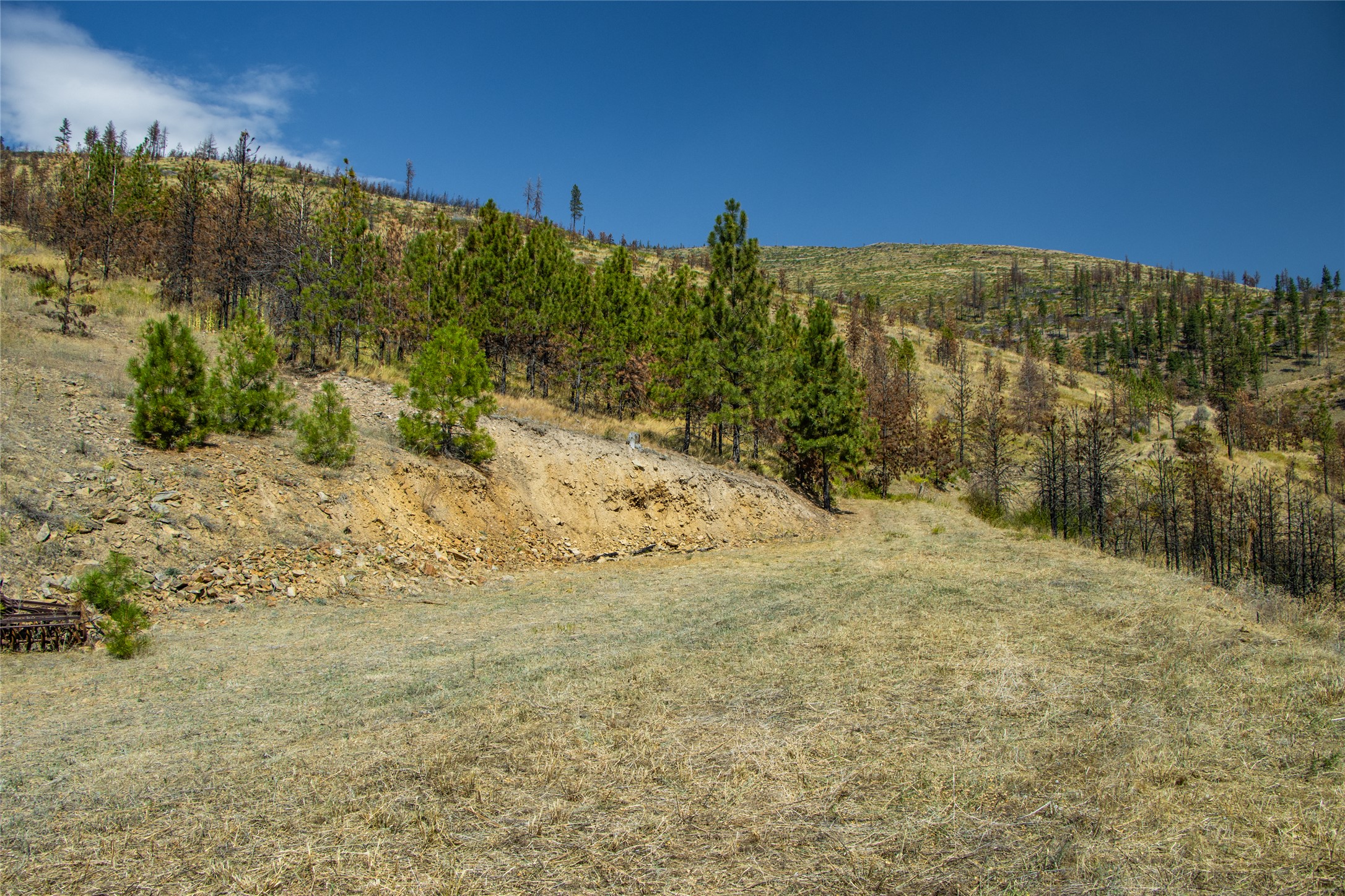 Tbd Mclaughlin Creek Road Property Photo 11