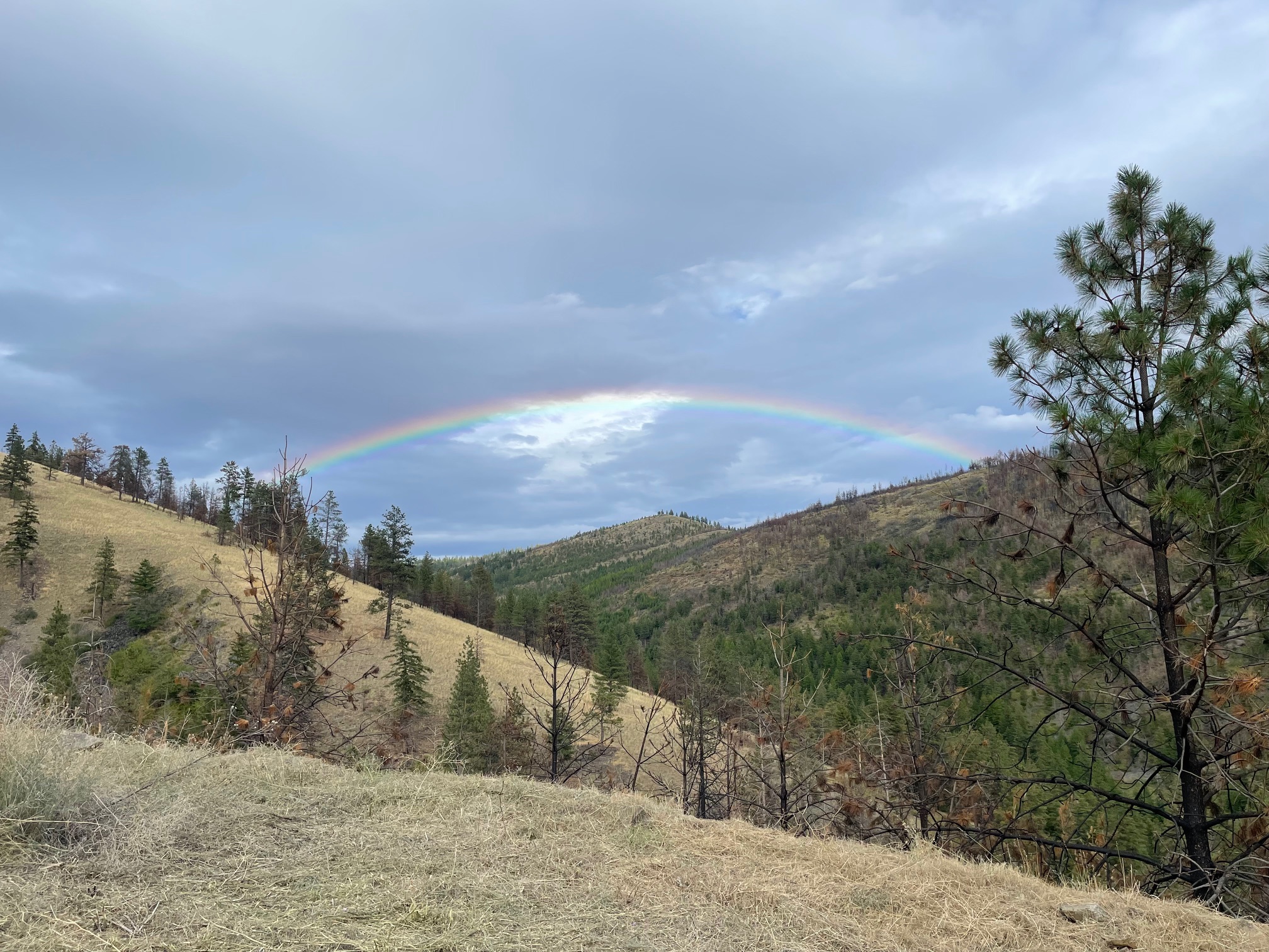 Tbd Mclaughlin Creek Road Property Photo 12
