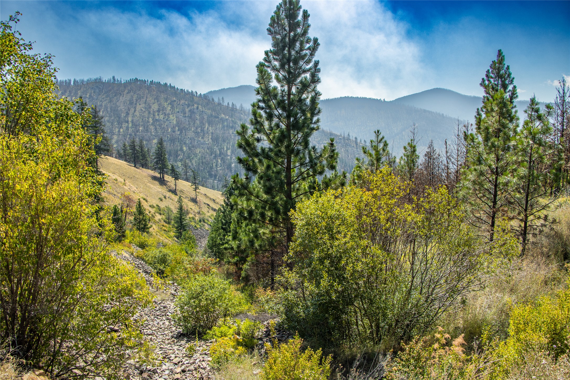 Tbd Mclaughlin Creek Road Property Photo 14