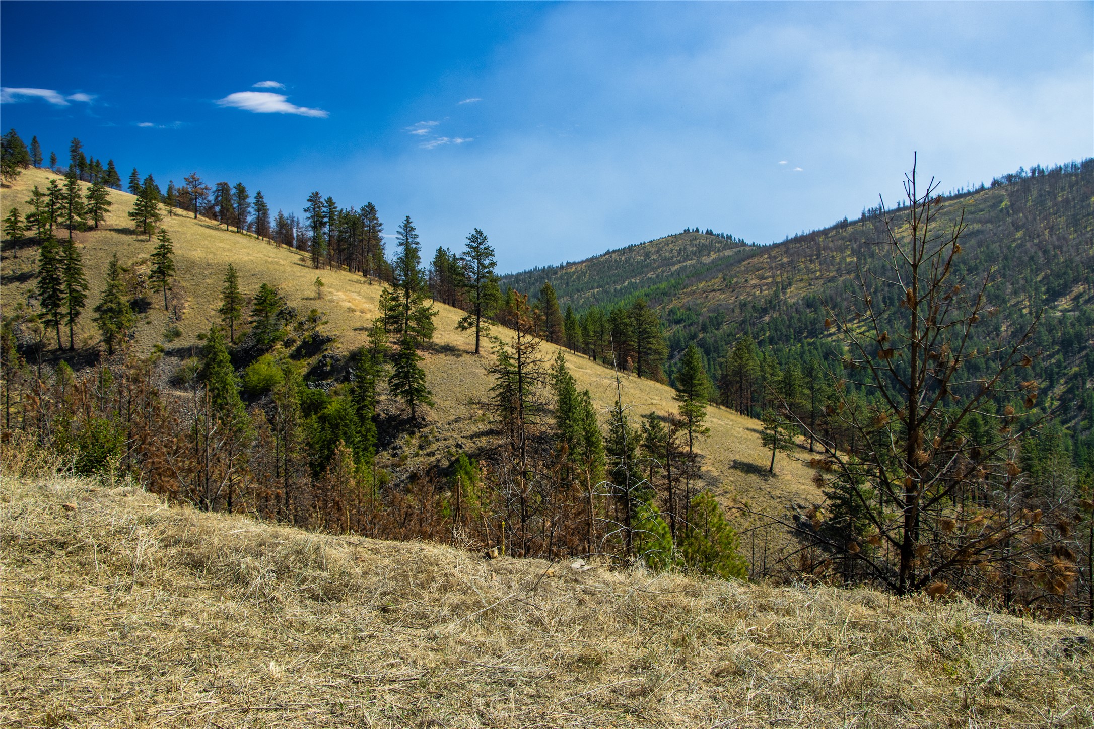 Tbd Mclaughlin Creek Road Property Photo 16