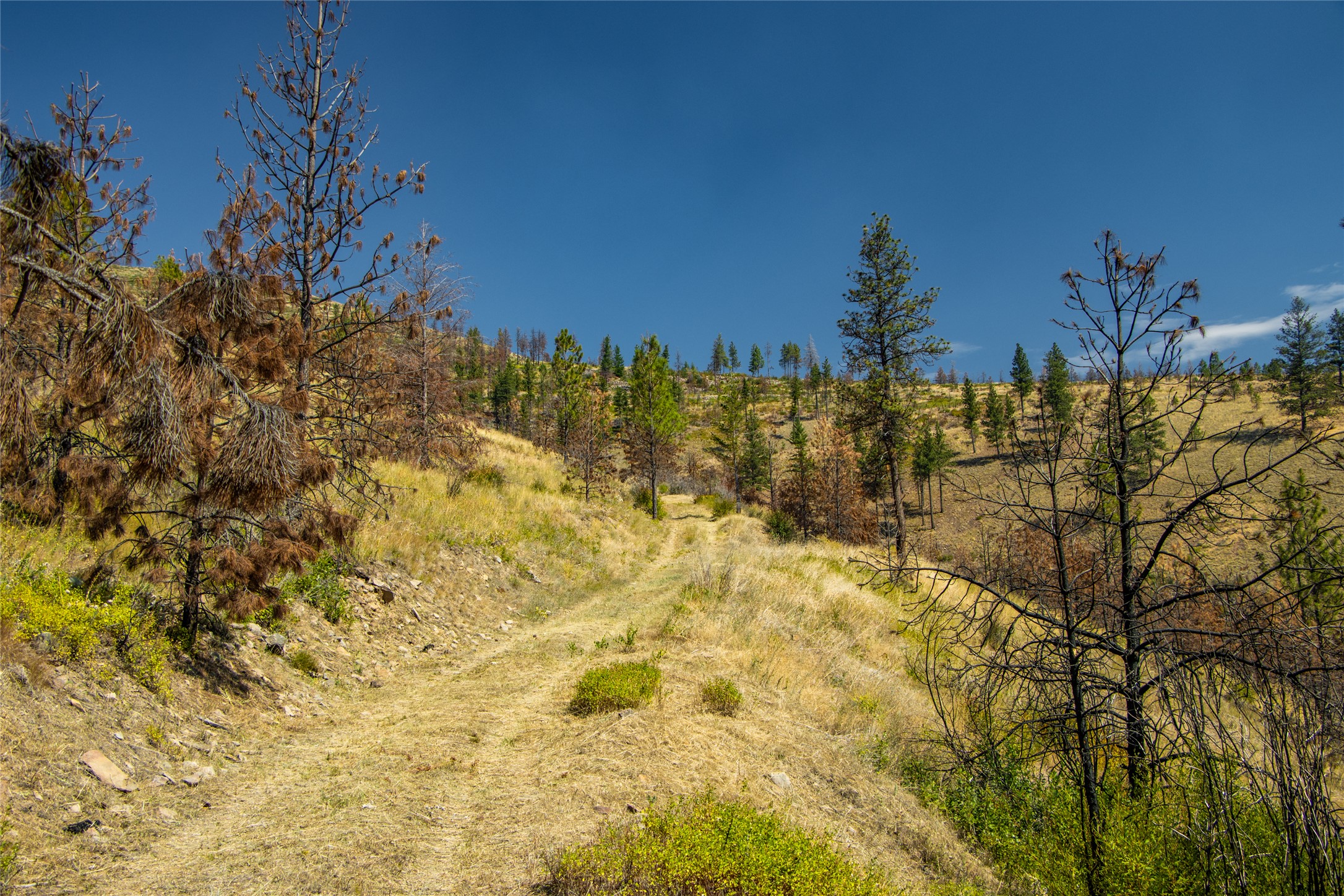 Tbd Mclaughlin Creek Road Property Photo 17