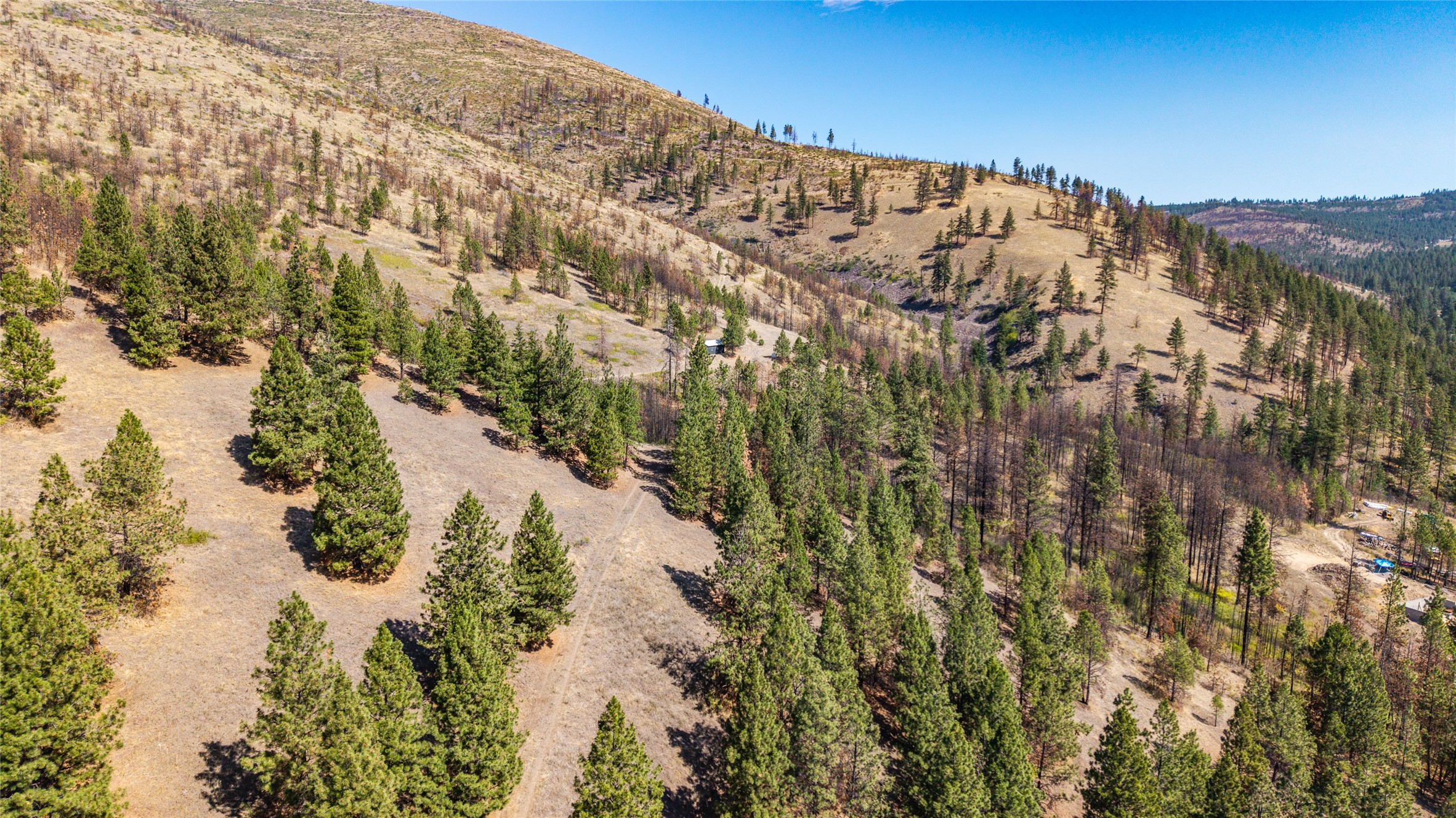 Tbd Mclaughlin Creek Road Property Photo 19