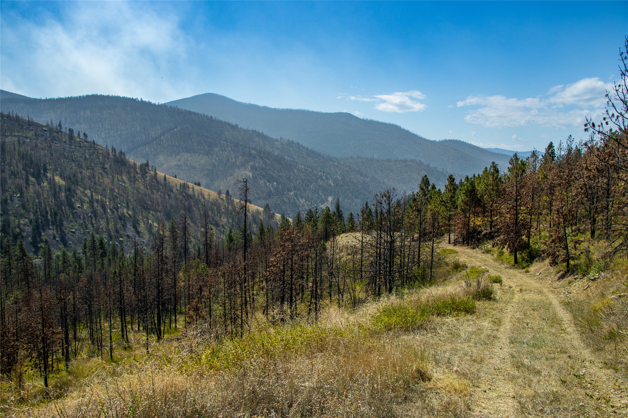 Tbd Mclaughlin Creek Road Property Photo 23
