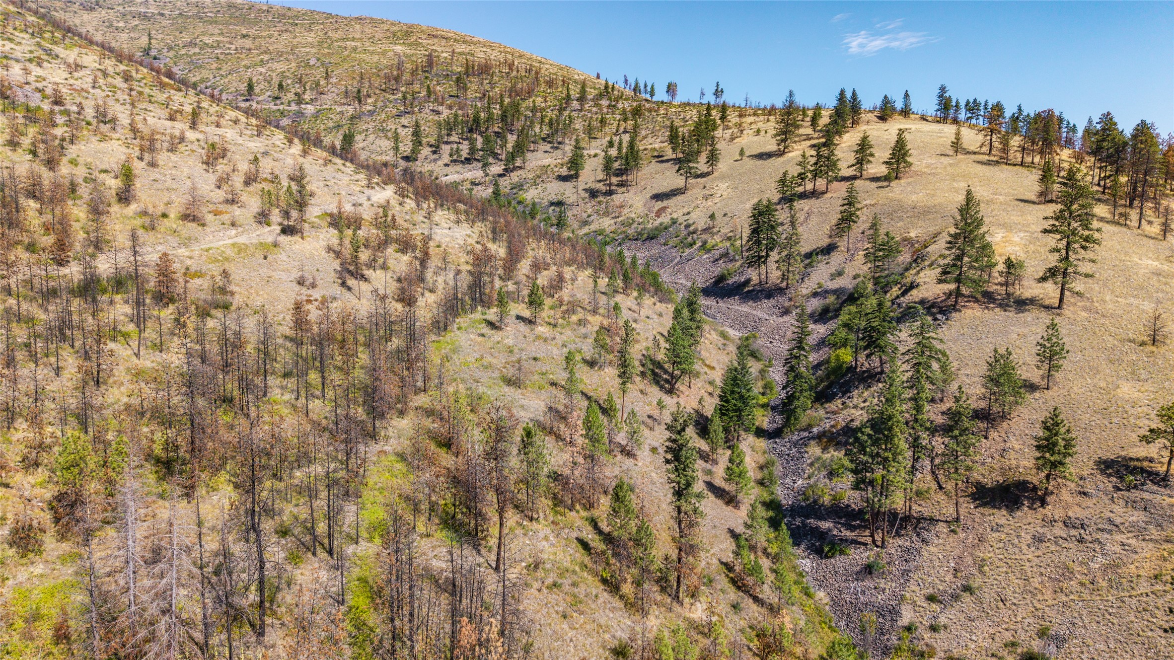 Tbd Mclaughlin Creek Road Property Photo 26