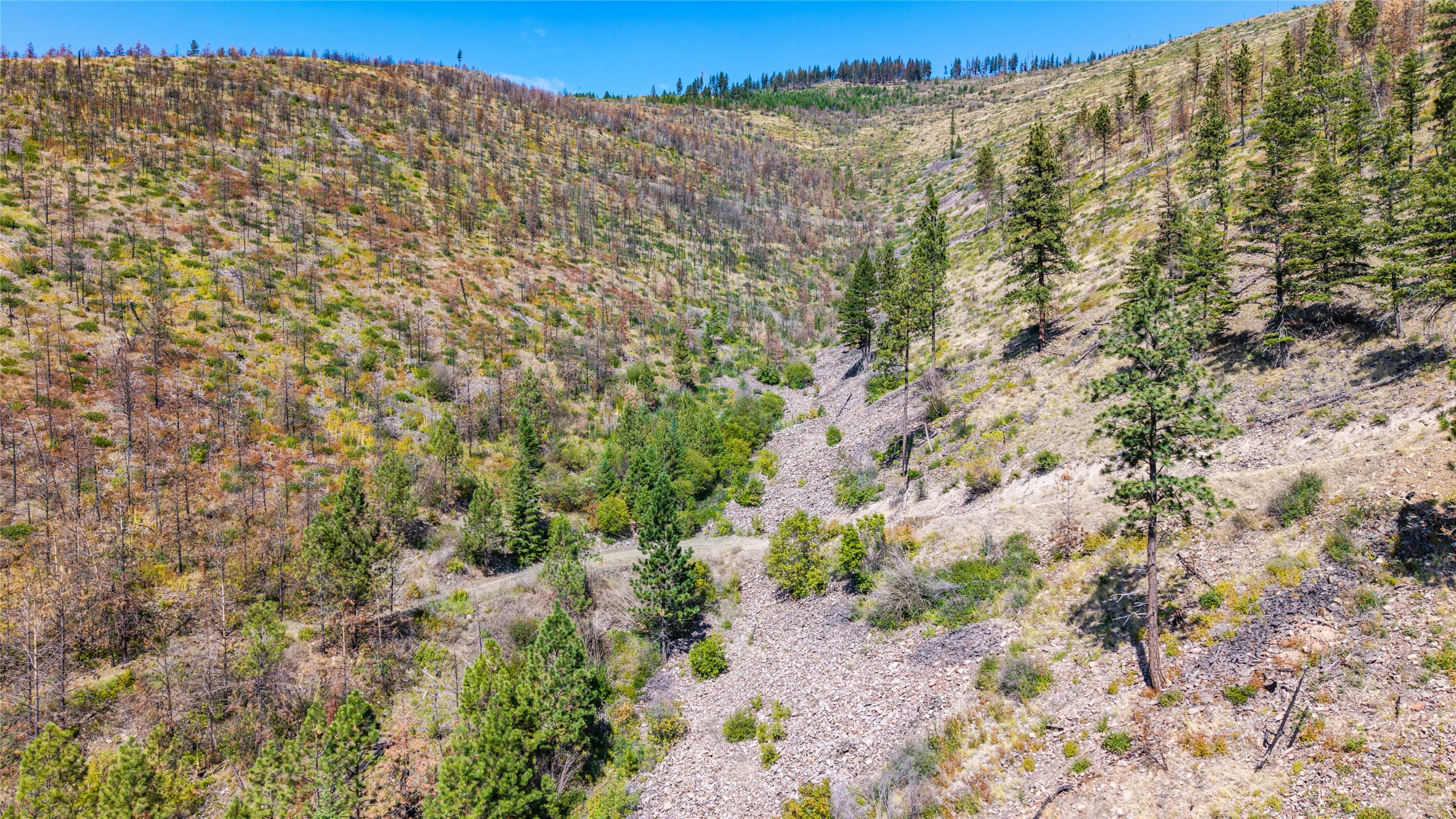 Tbd Mclaughlin Creek Road Property Photo 27