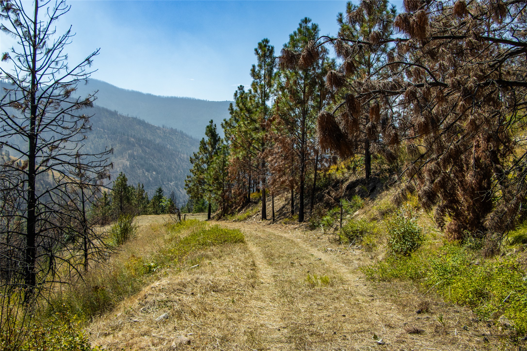 Tbd Mclaughlin Creek Road Property Photo 28