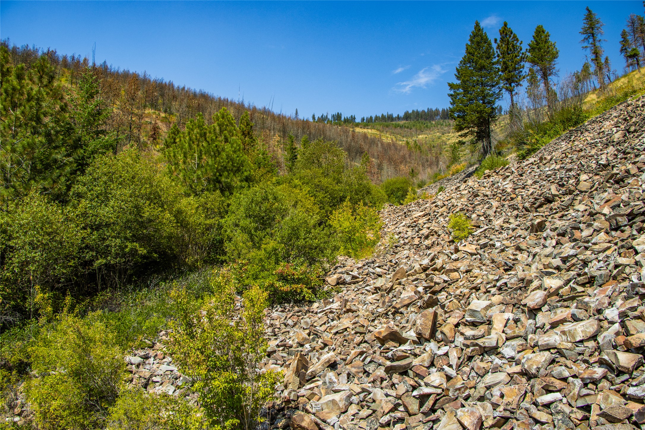 Tbd Mclaughlin Creek Road Property Photo 31