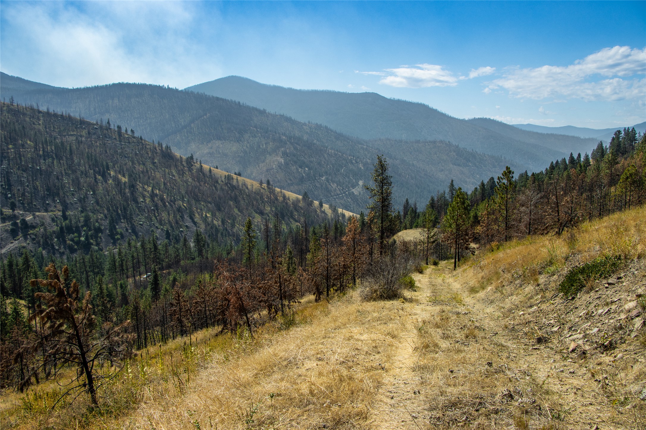 Tbd Mclaughlin Creek Road Property Photo 32