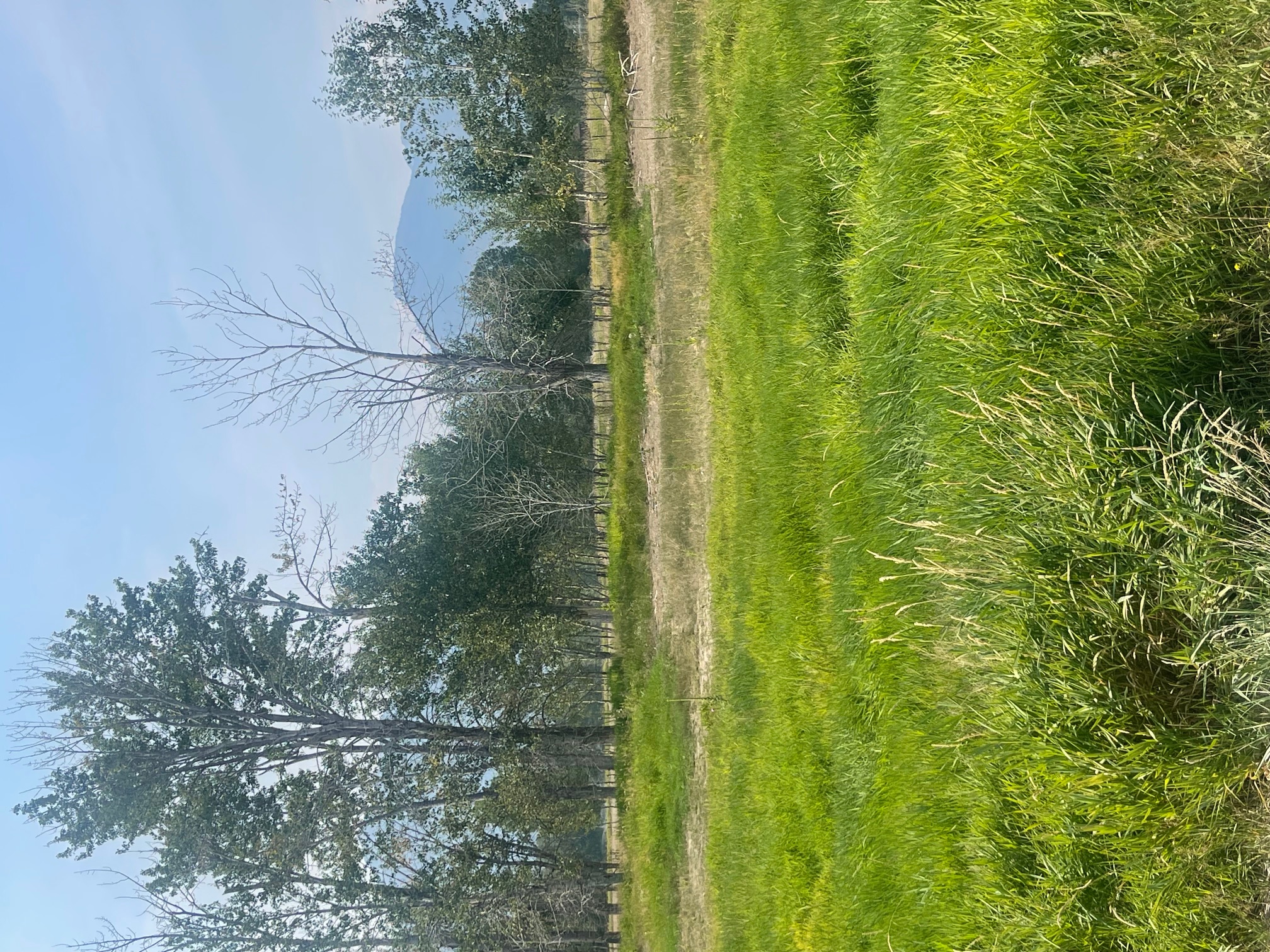 659 Old Corvallis Road Property Photo 1