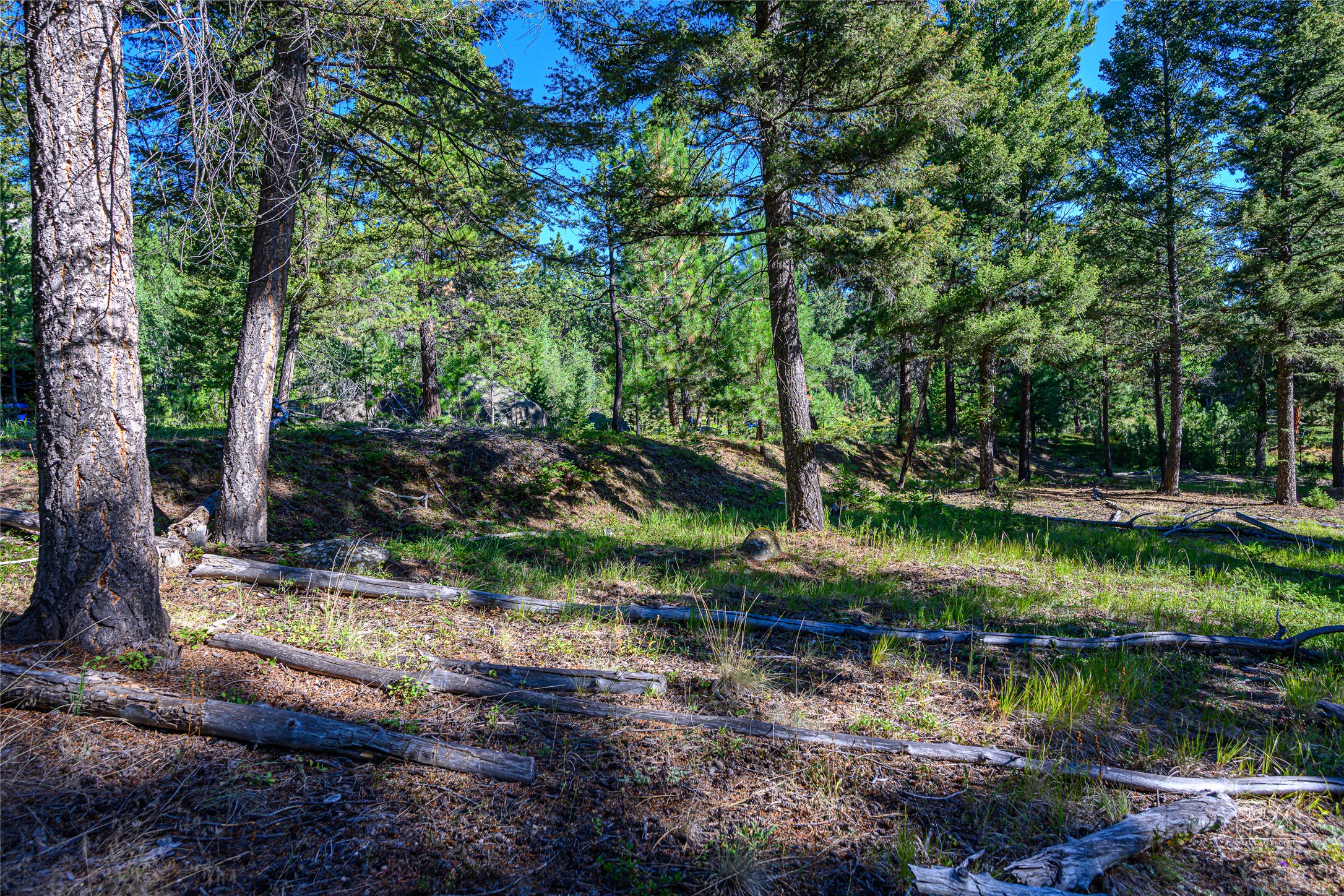 Tract A1 Hills Brothers Road Property Photo 4