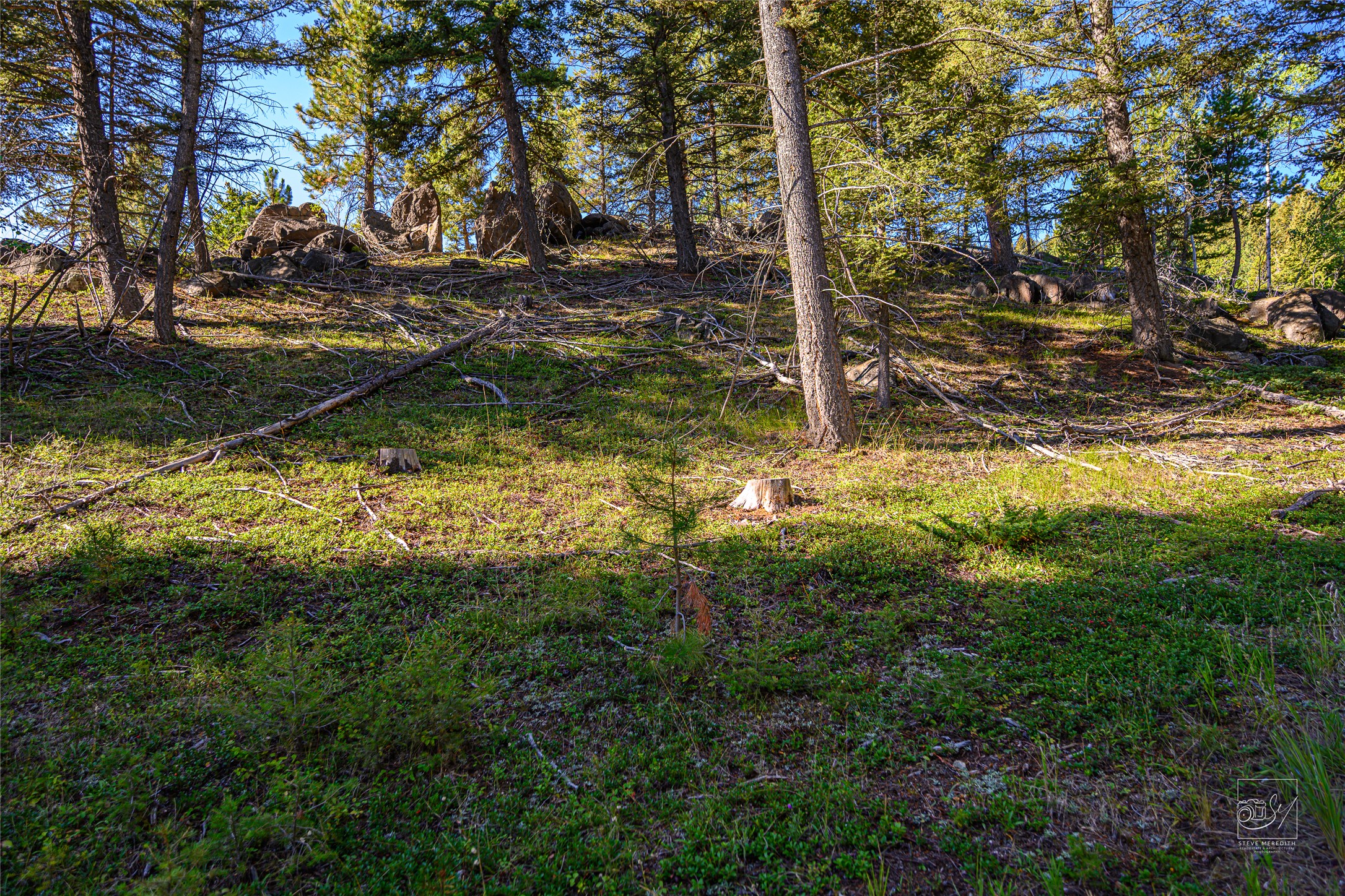 Tract A1 Hills Brothers Road Property Photo 6
