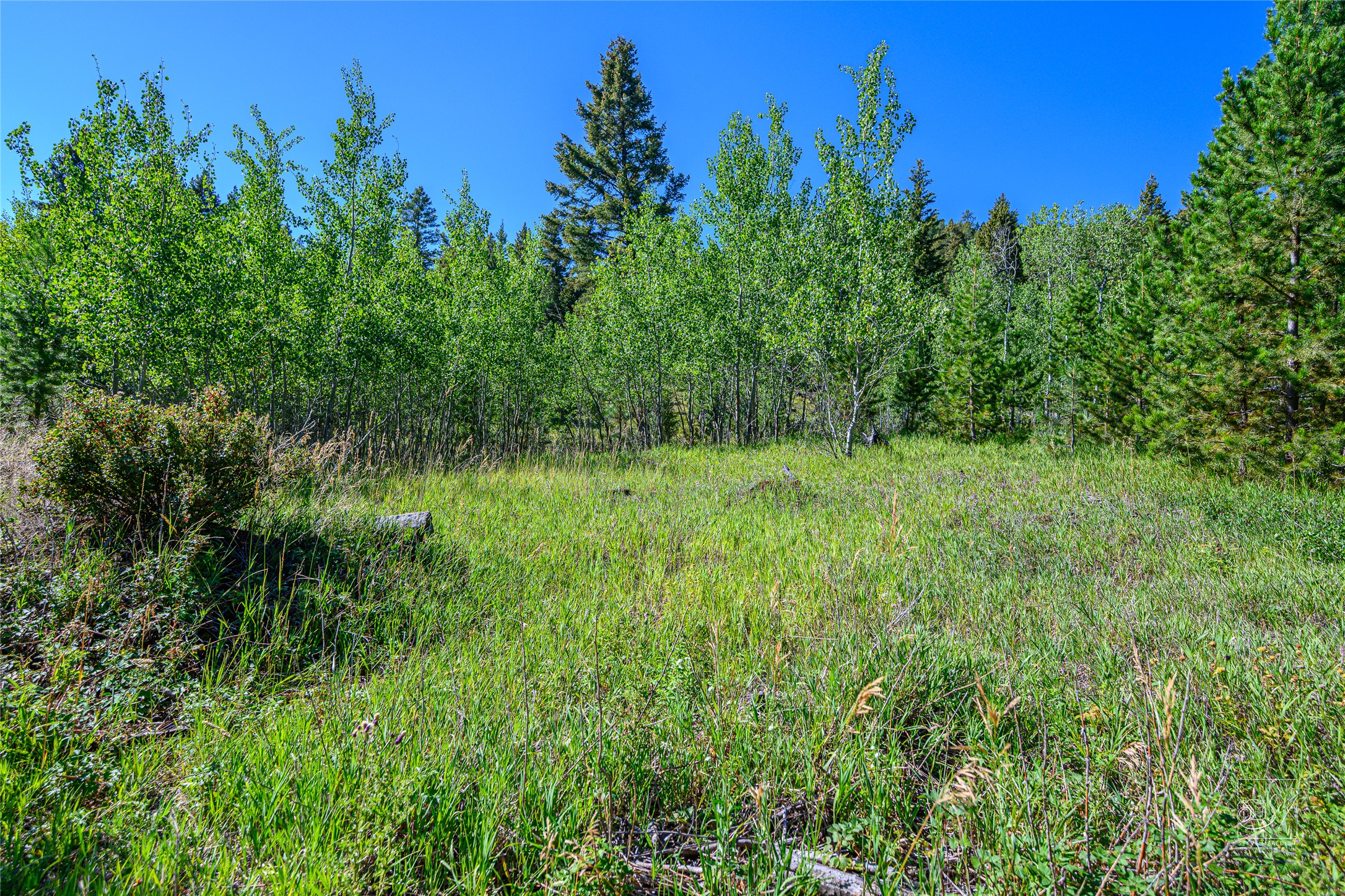 Tract A1 Hills Brothers Road Property Photo 14
