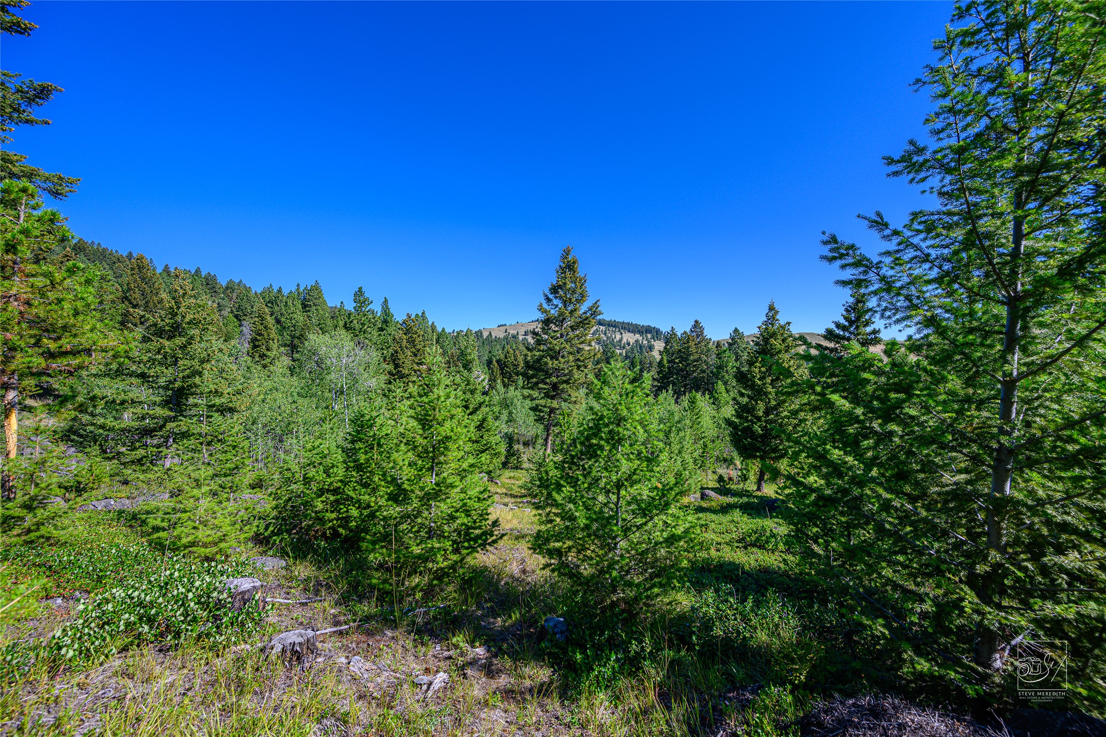 Tract A1 Hills Brothers Road Property Photo 18