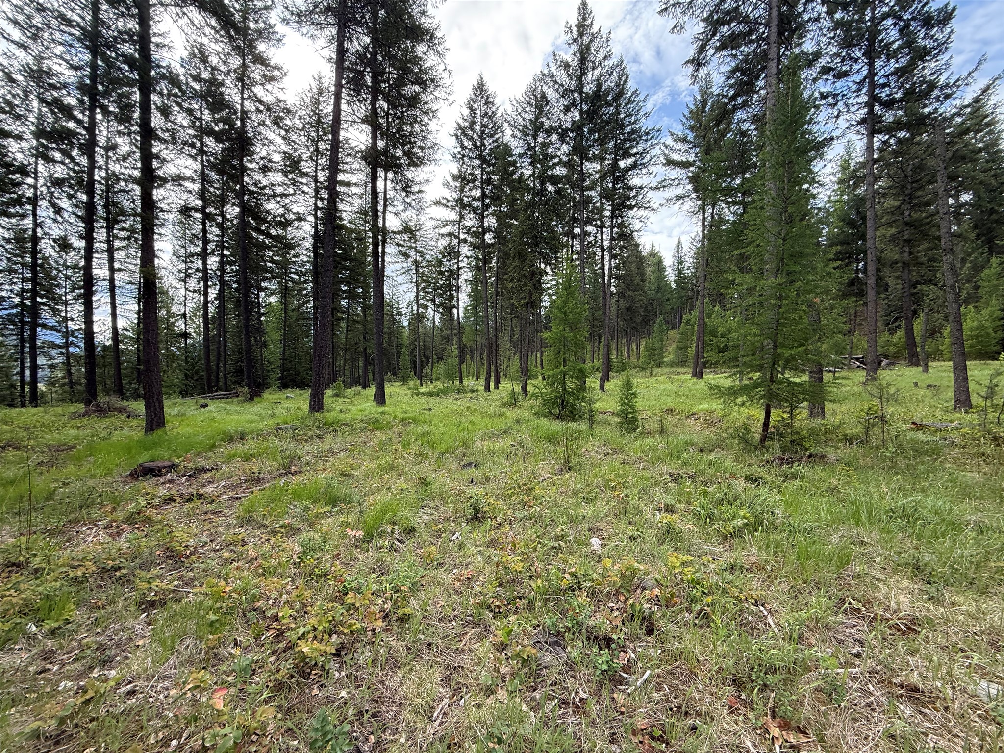 Parcel A Kootenai Drive Property Photo 1