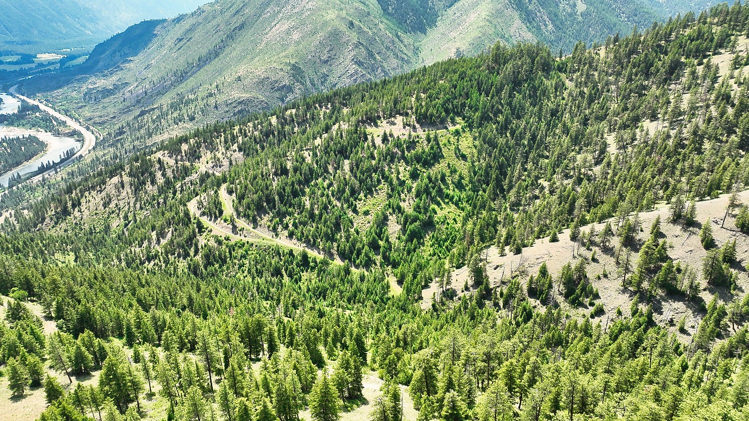 Nhn Switchback Ranch Property Photo 4