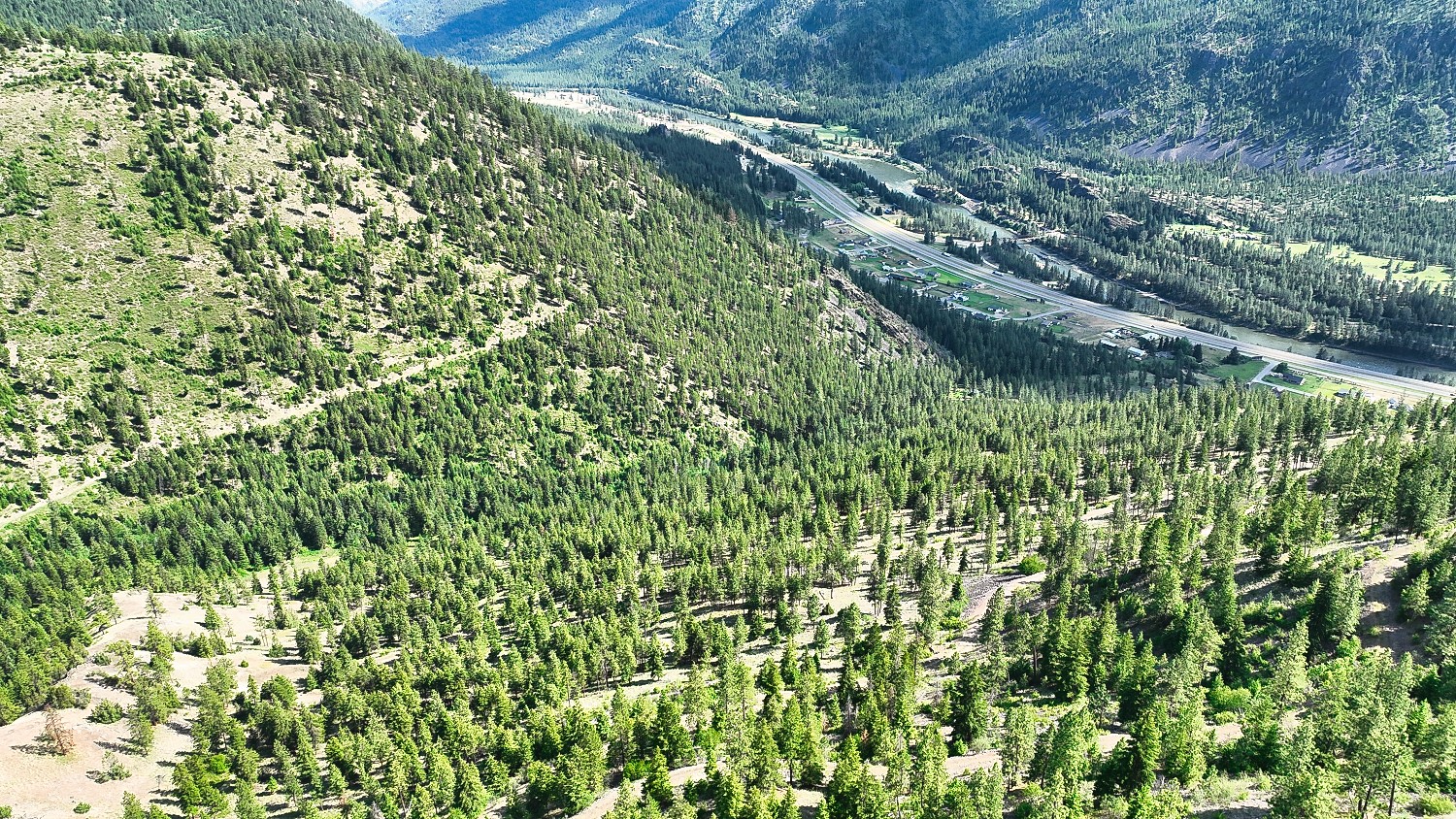 Nhn Switchback Ranch Property Photo 11