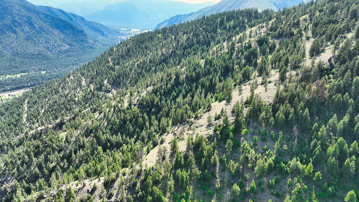 Nhn Switchback Ranch Property Photo 19