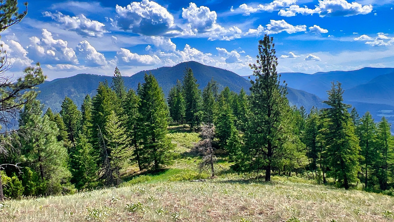 Nhn Switchback Ranch Property Photo 23