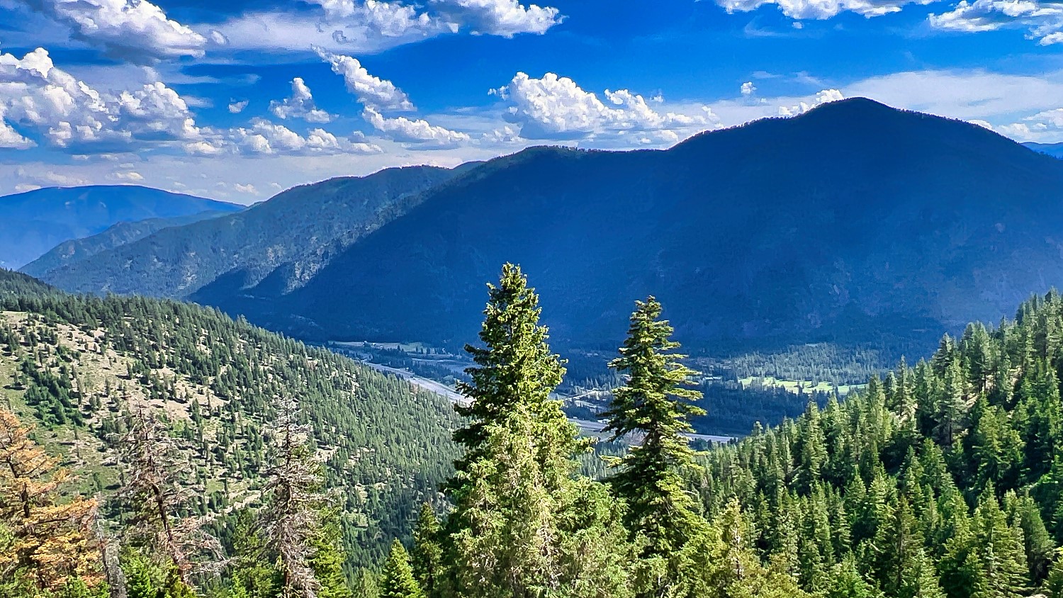 Nhn Switchback Ranch Property Photo 24