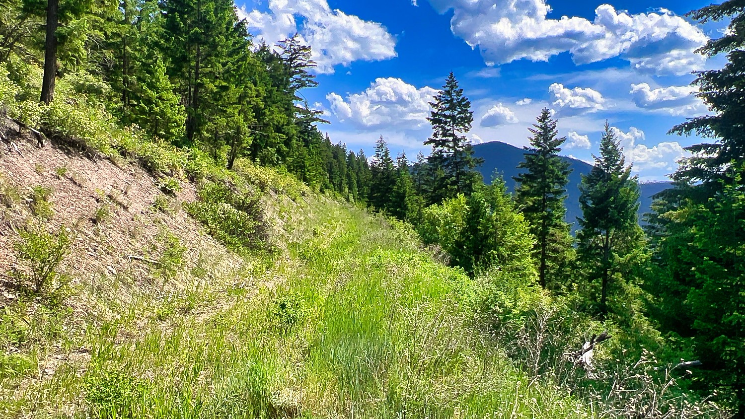 Nhn Switchback Ranch Property Photo 25