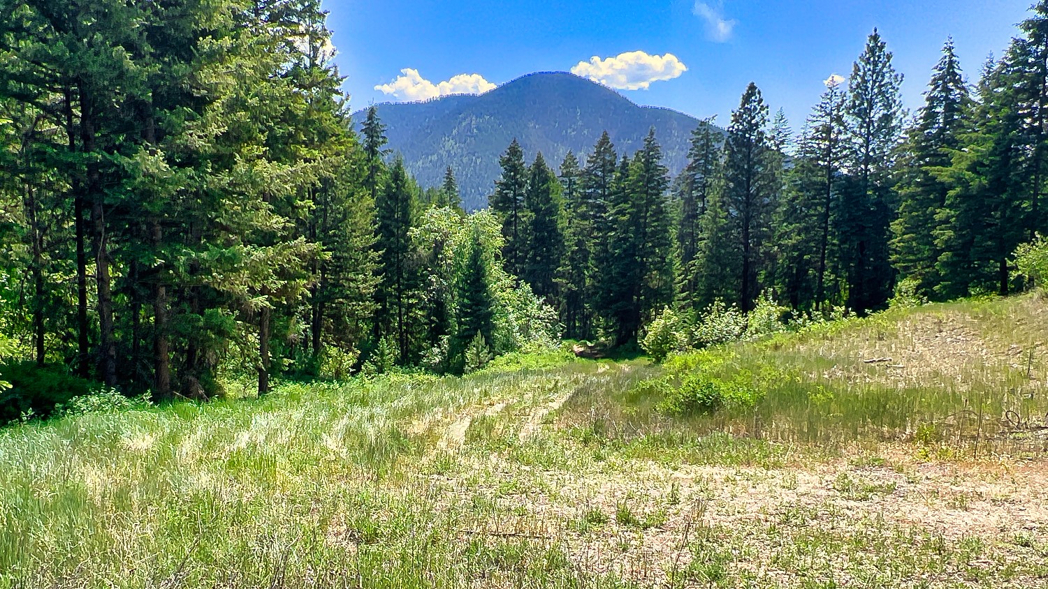 Nhn Switchback Ranch Property Photo 27