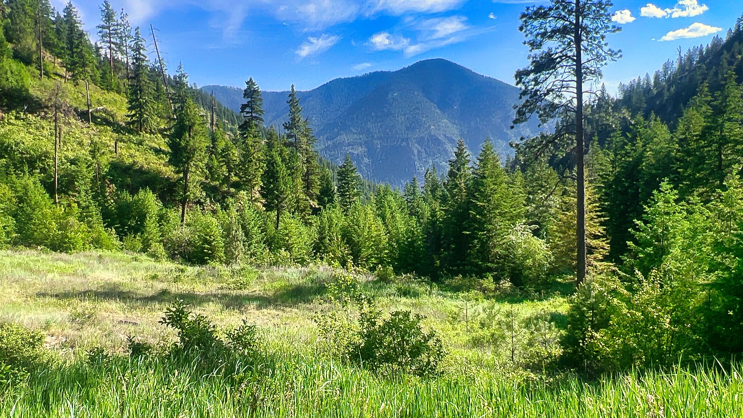 Nhn Switchback Ranch Property Photo 28