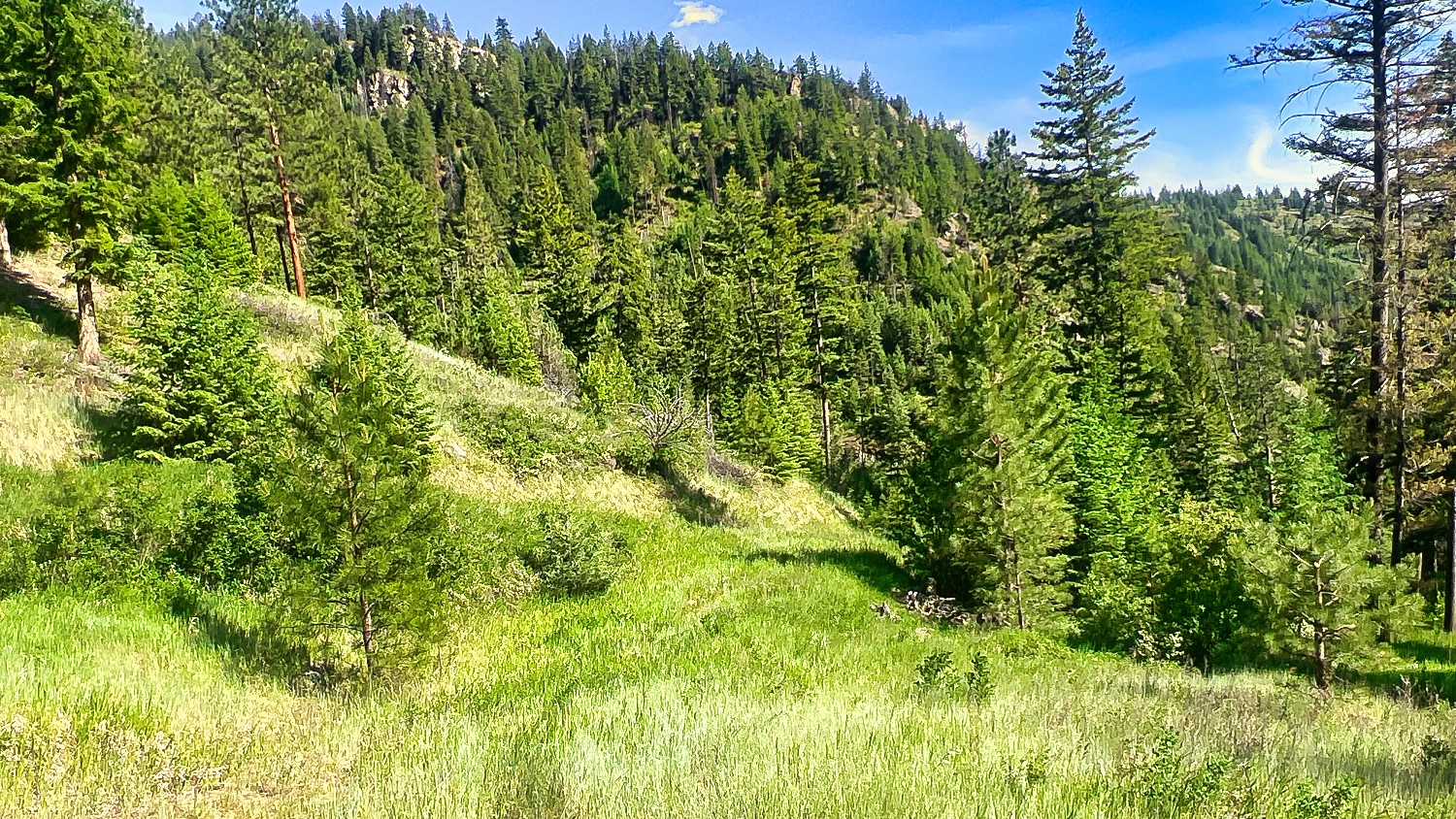Nhn Switchback Ranch Property Photo 29