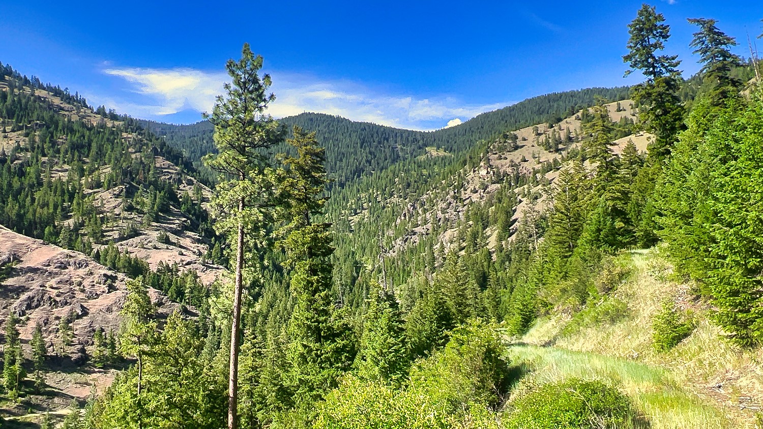 Nhn Switchback Ranch Property Photo 30
