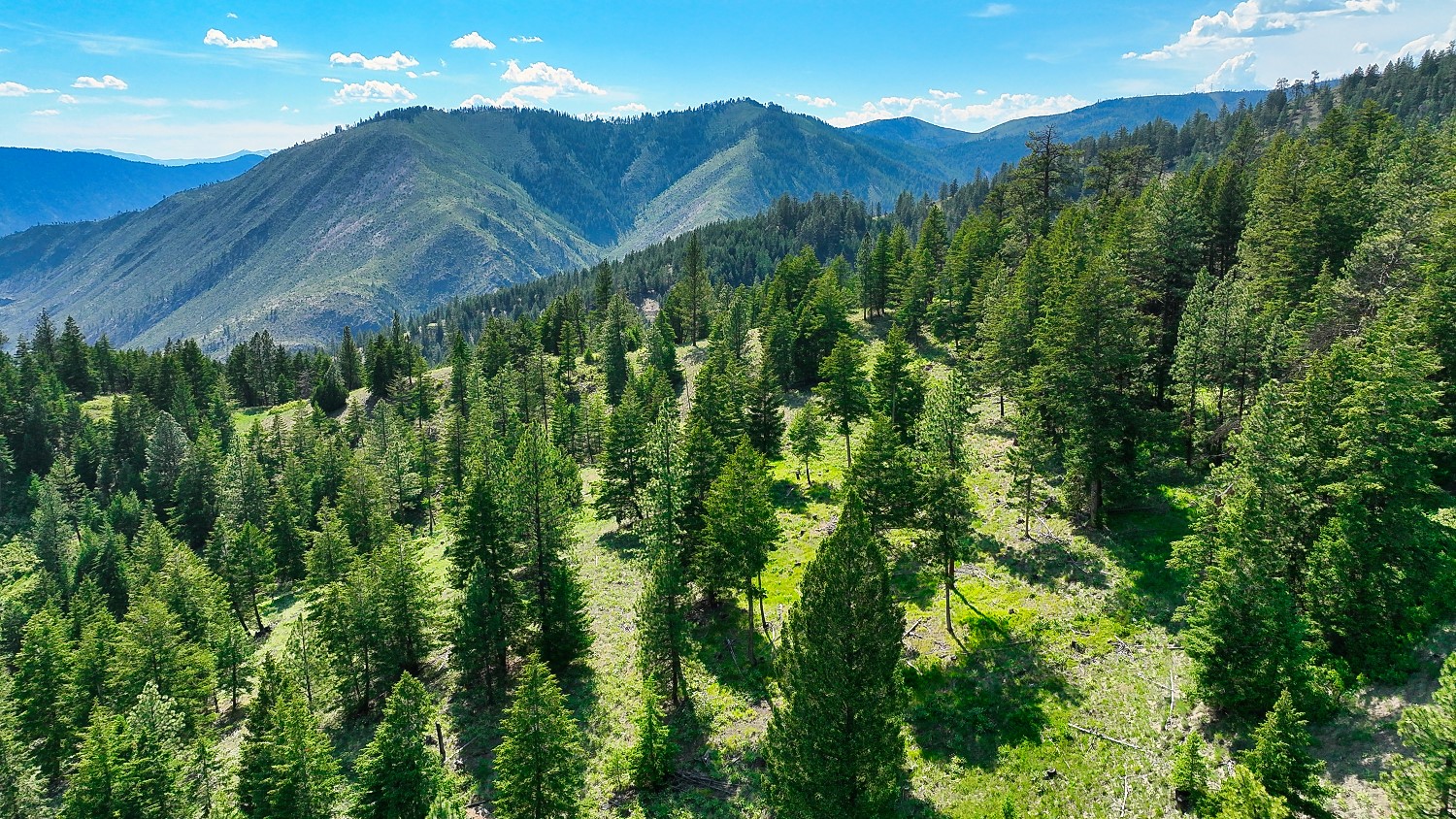 Nhn Switchback Ranch Property Photo 31
