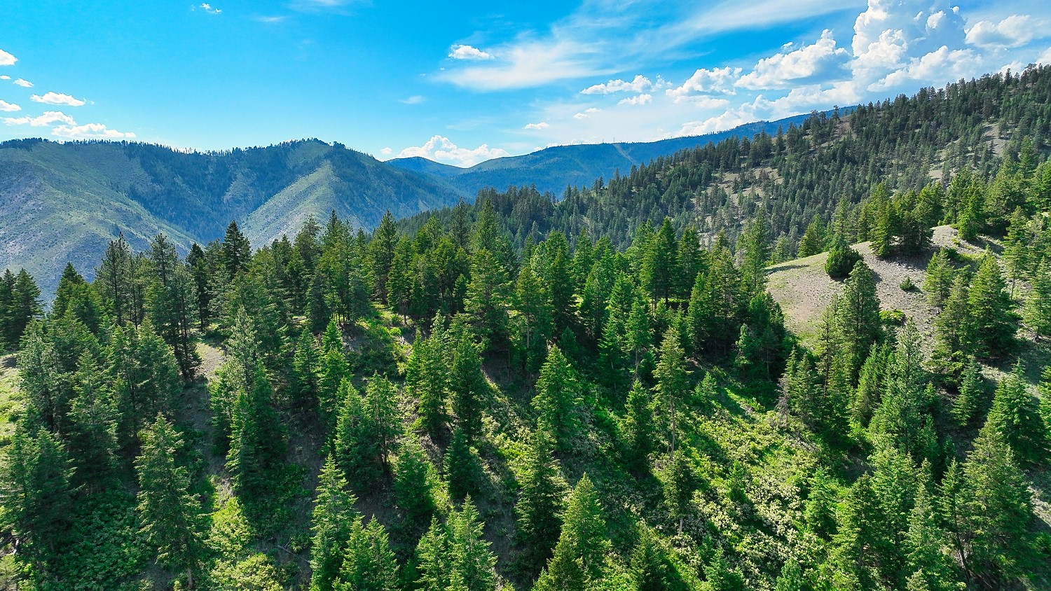 Nhn Switchback Ranch Property Photo 32