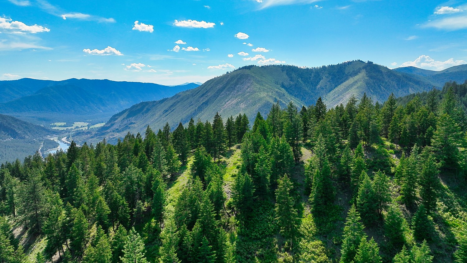 Nhn Switchback Ranch Property Photo 33