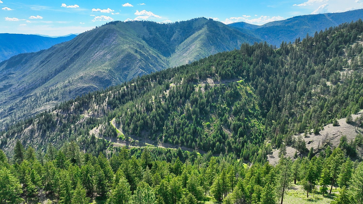 Nhn Switchback Ranch Property Photo 34
