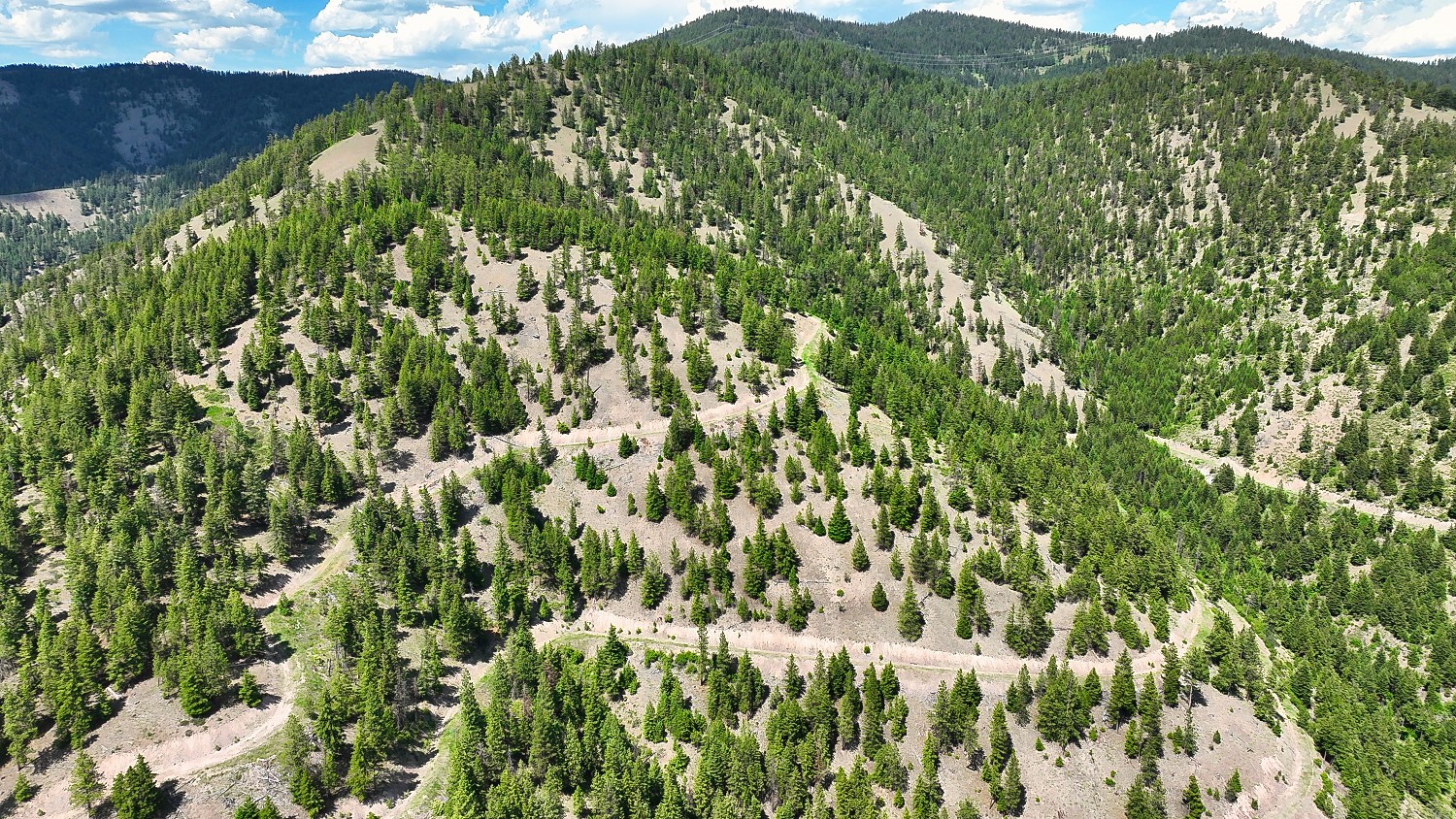Nhn Switchback Ranch Property Photo 35