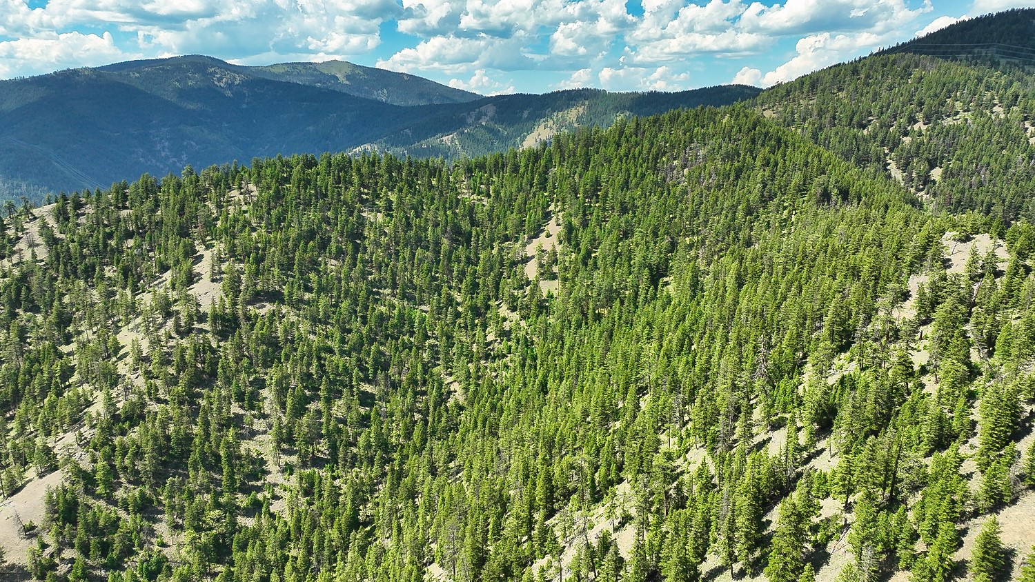 Nhn Switchback Ranch Property Photo 36