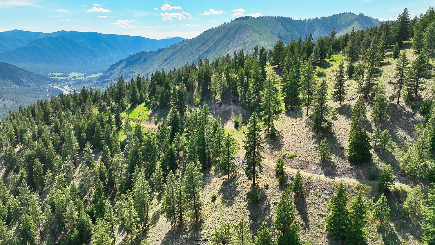 Nhn Switchback Ranch Property Photo 37