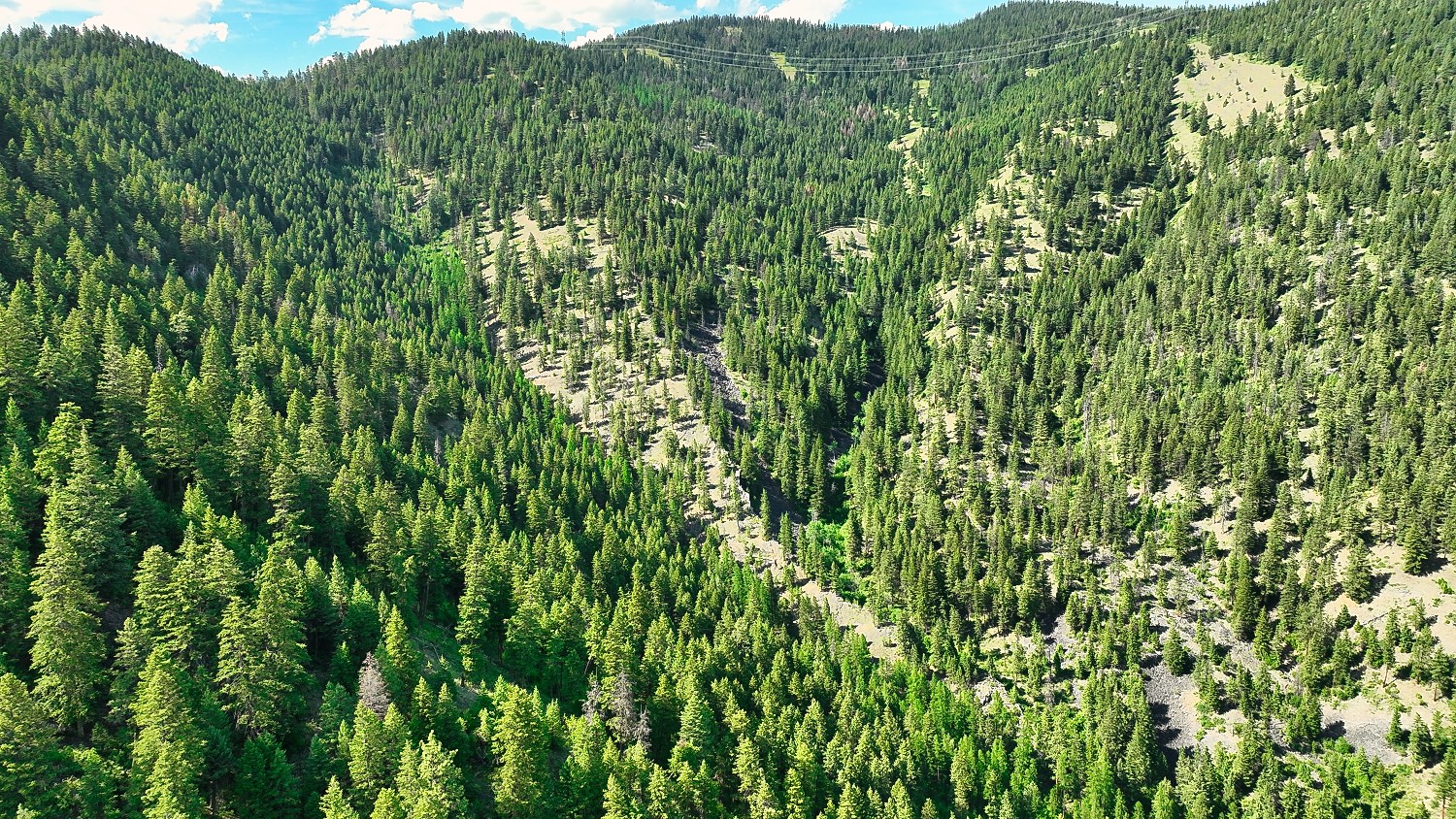 Nhn Switchback Ranch Property Photo 38