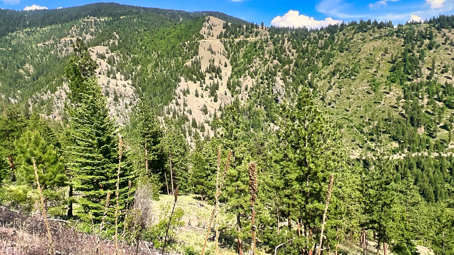 Nhn Switchback Ranch Property Photo 39