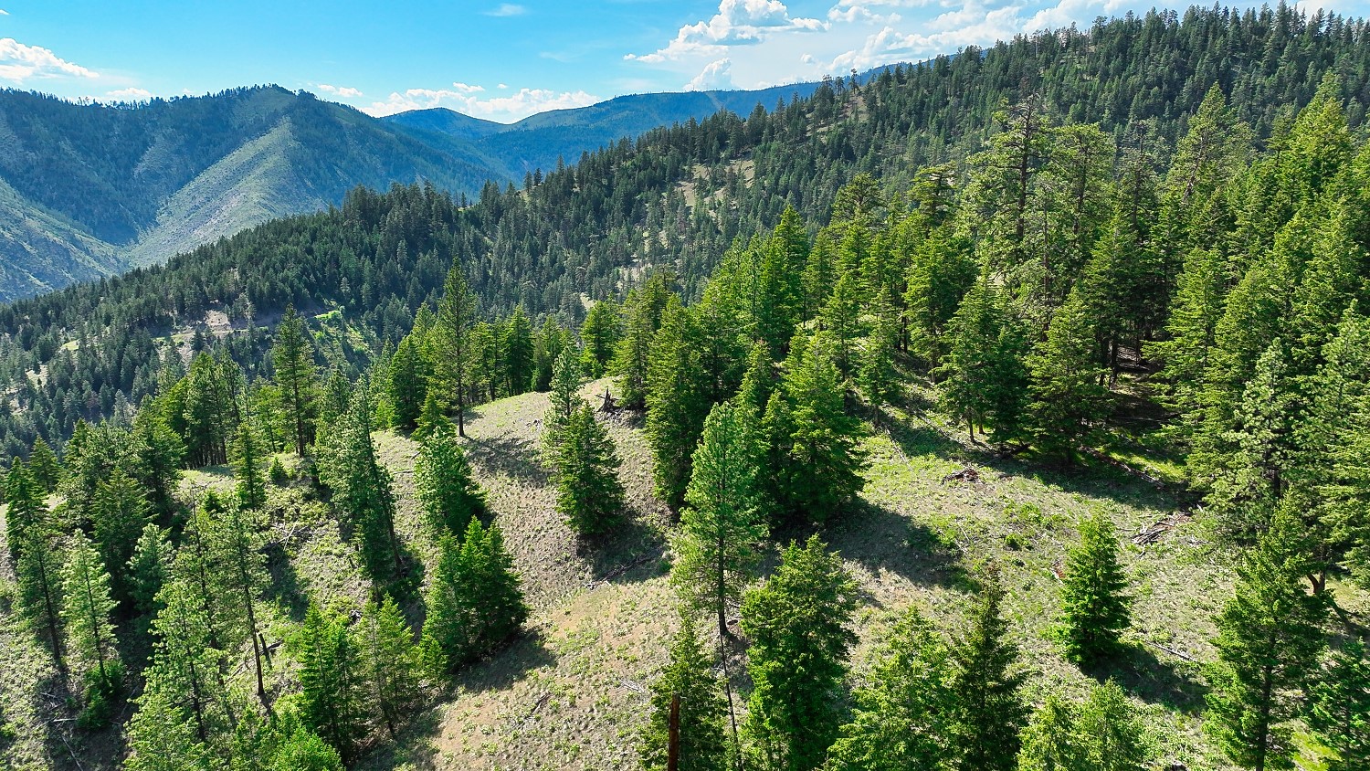 Nhn Switchback Ranch Property Photo 40