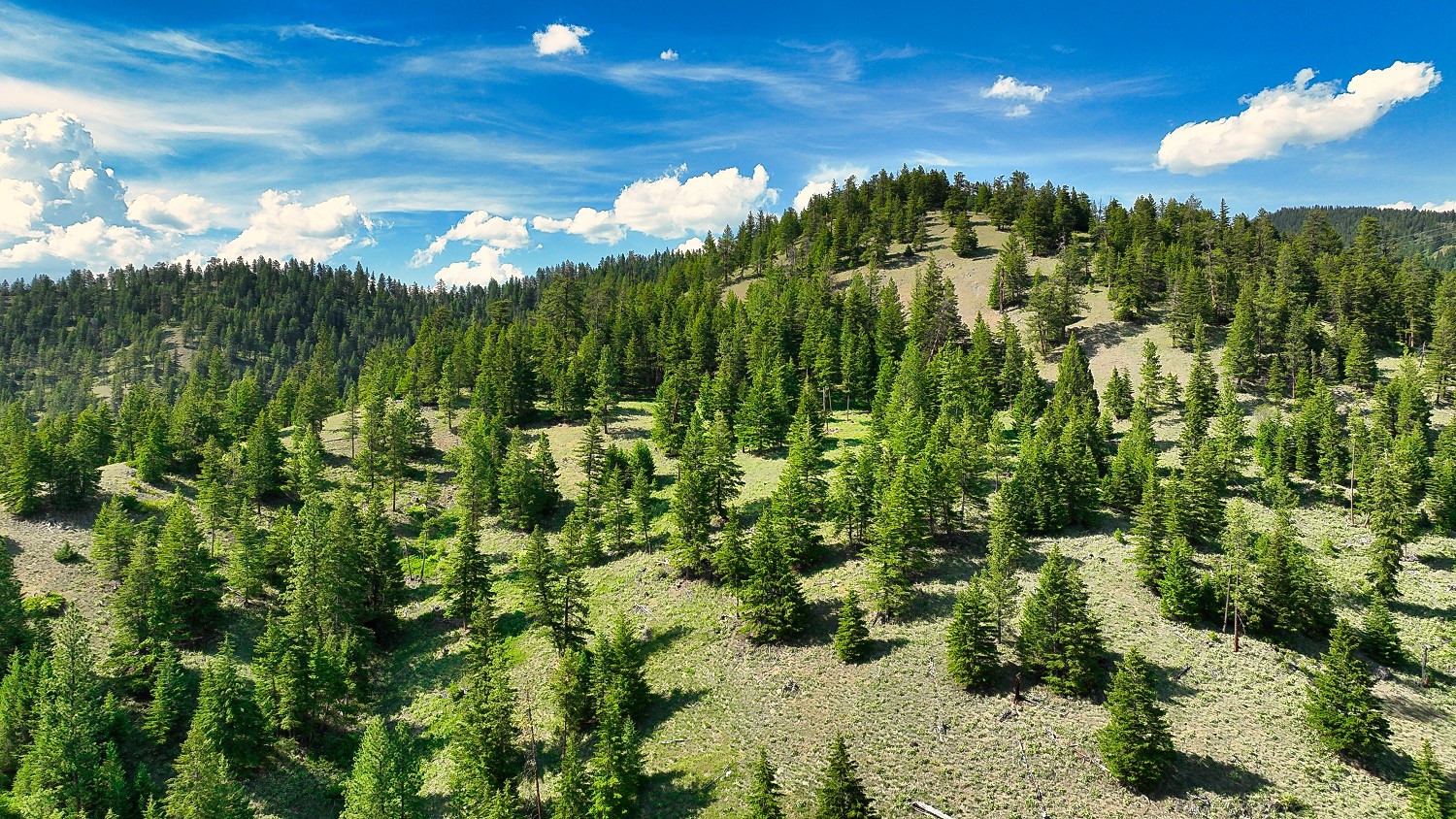 Nhn Switchback Ranch Property Photo 41