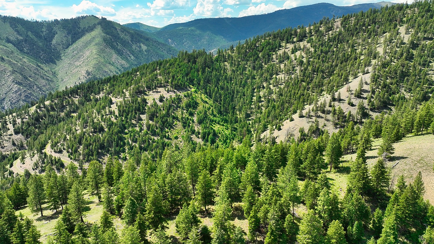 Nhn Switchback Ranch Property Photo 42