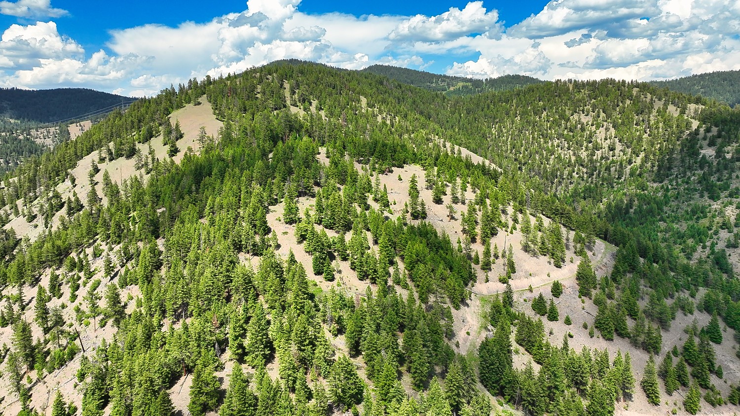 Nhn Switchback Ranch Property Photo 43