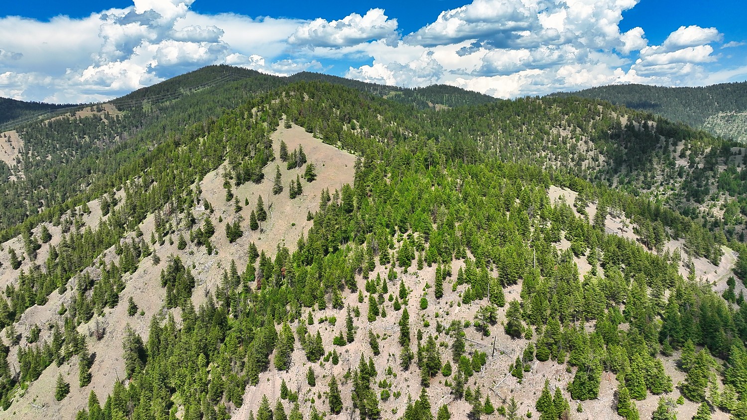 Nhn Switchback Ranch Property Photo 44