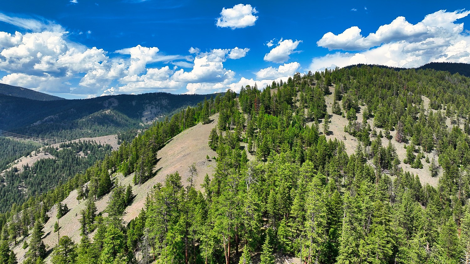 Nhn Switchback Ranch Property Photo 45