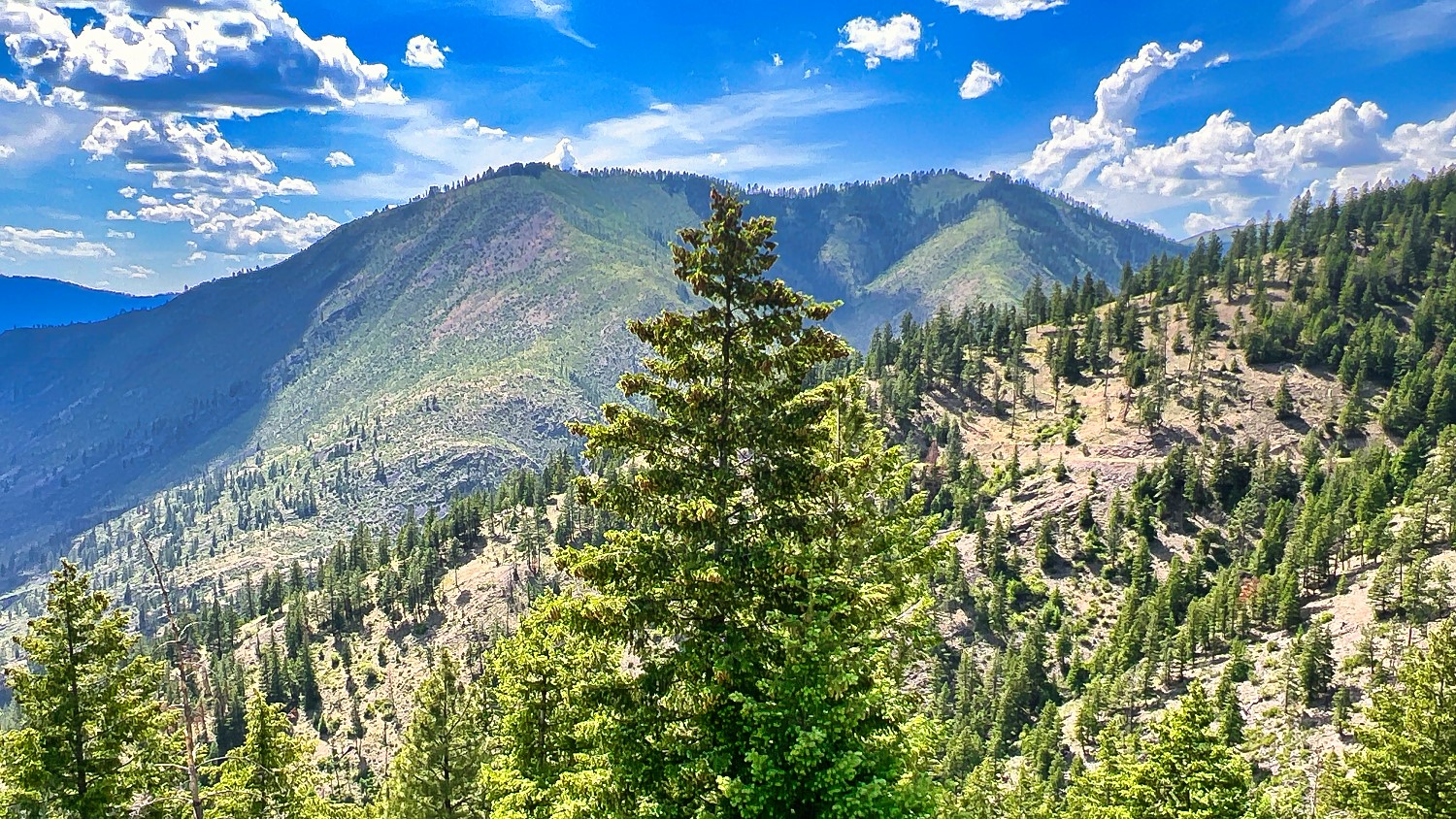 Nhn Switchback Ranch Property Photo 46