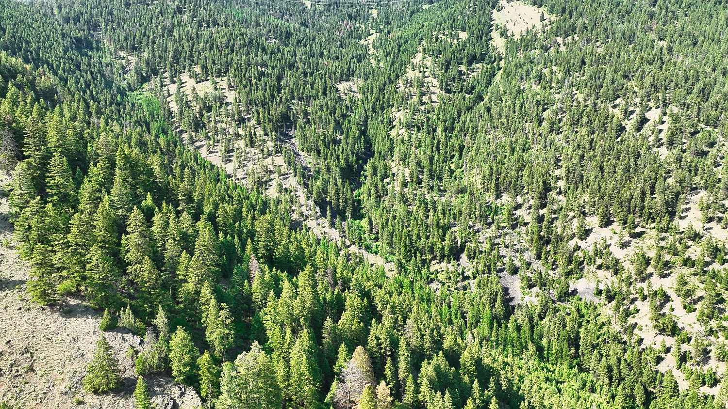 Nhn Switchback Ranch Property Photo 48