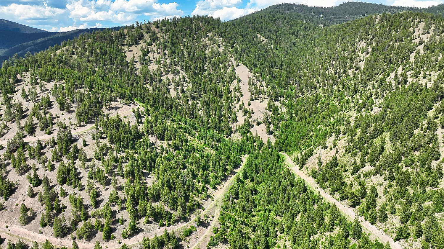 Nhn Switchback Ranch Property Photo 49