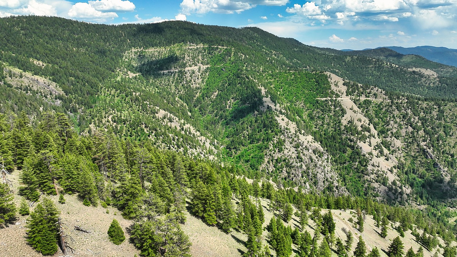Nhn Switchback Ranch Property Photo 51